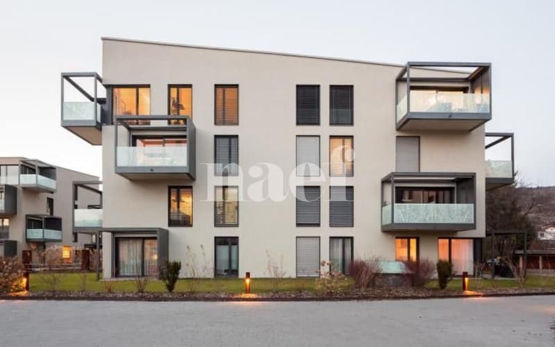 Appartement dans un immeuble récent (6)