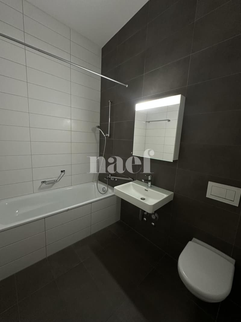 Appartement dans un immeuble récent (4)
