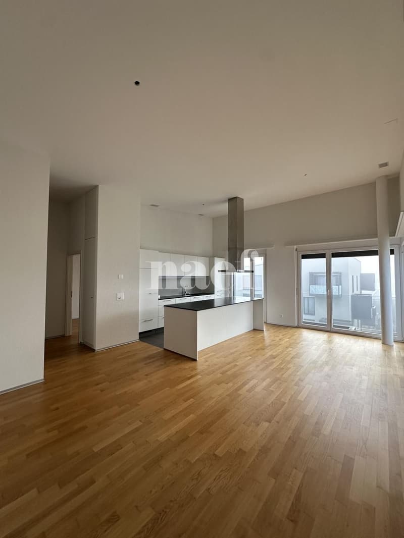 Appartement dans un immeuble récent (6)