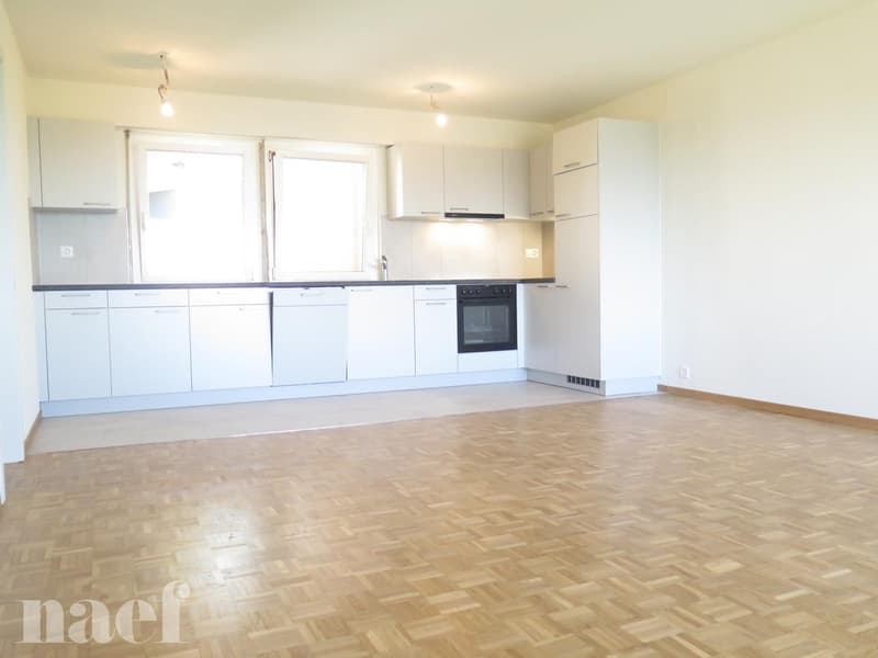 Bel appartement rénové récemment avec magnifique vue sur le lac. (1)
