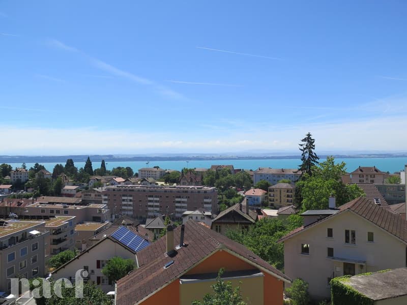 Bel appartement rénové récemment avec magnifique vue sur le lac. (6)