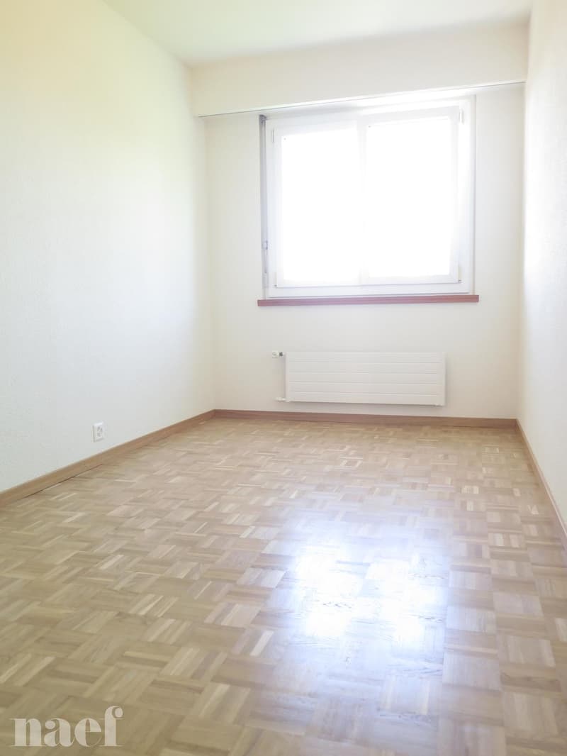 Bel appartement rénové récemment avec magnifique vue sur le lac. (2)
