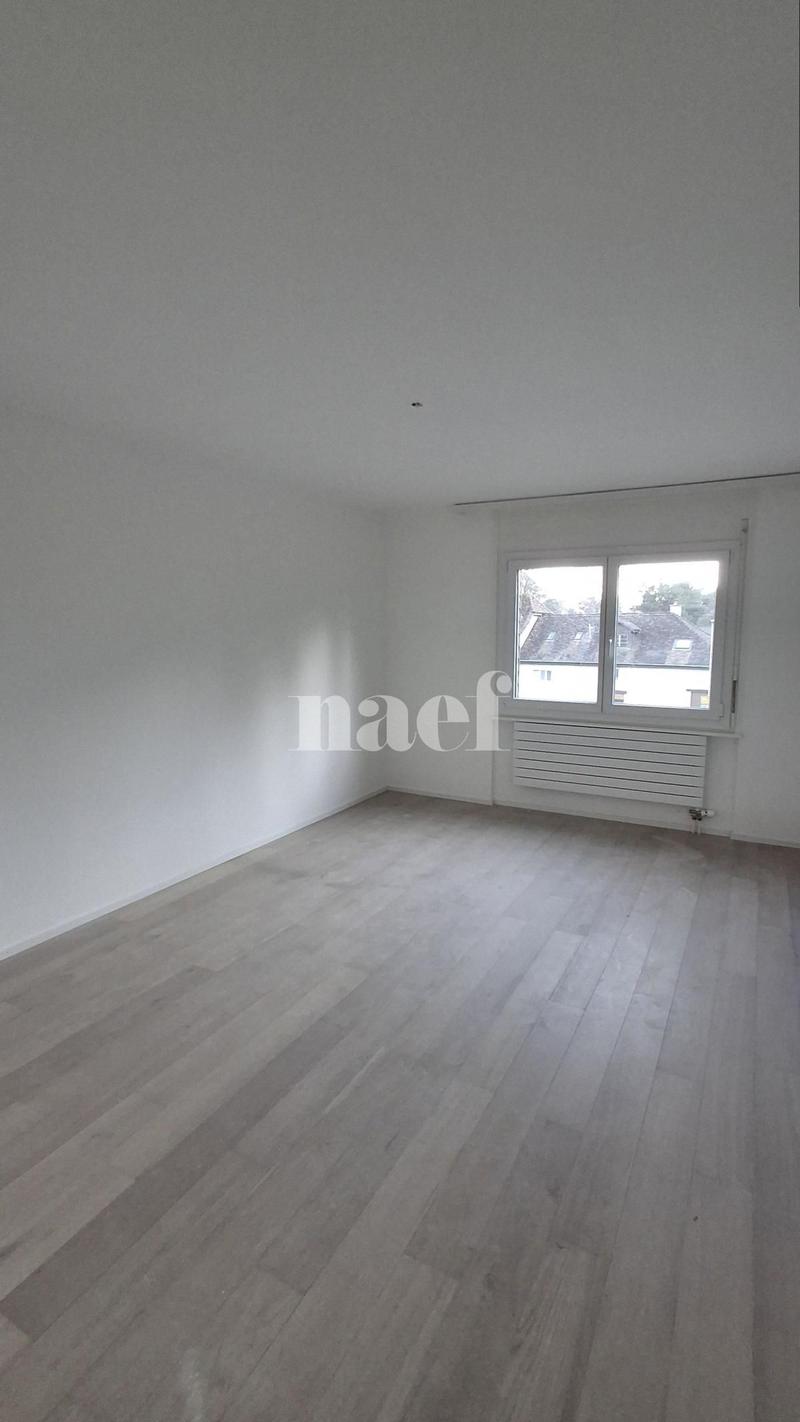 Appartement rénové (7)