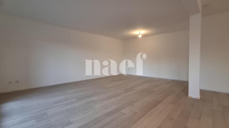 Appartement rénové (1)