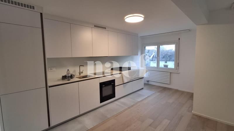 Appartement rénové (2)