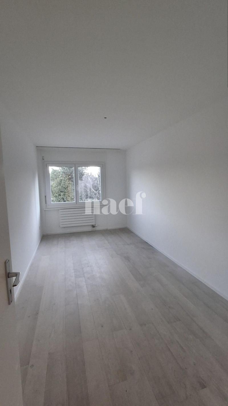 Appartement rénové (6)