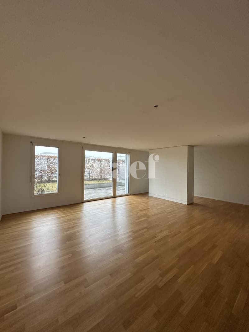 Appartement de 4.5 pièces (1)