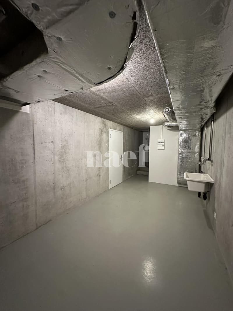 Appartement de 4.5 pièces (9)