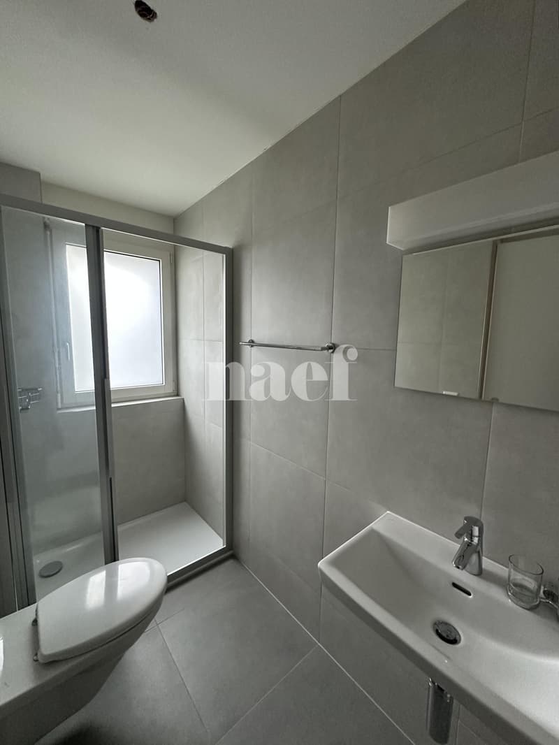 Appartement de 4.5 pièces (4)