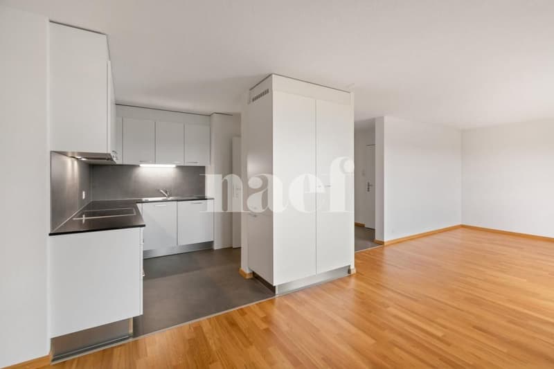 Sur les hauteurs de Neuchâtel, appartement de 4.5 pièces au 4ème étage (4)