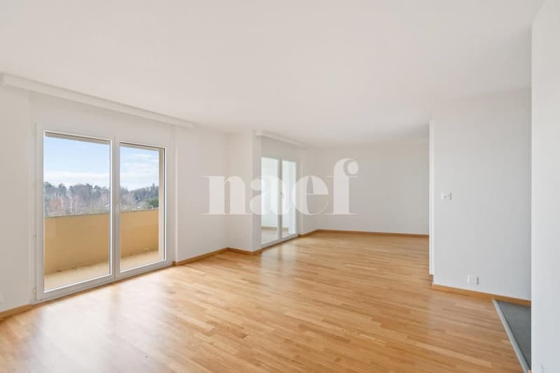 Sur les hauteurs de Neuchâtel, appartement de 4.5 pièces au 4ème étage (1)