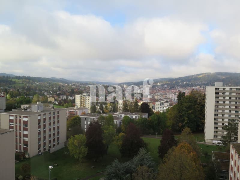 Appartement de 4.5 pièces avec une belle vue dégagée (8)