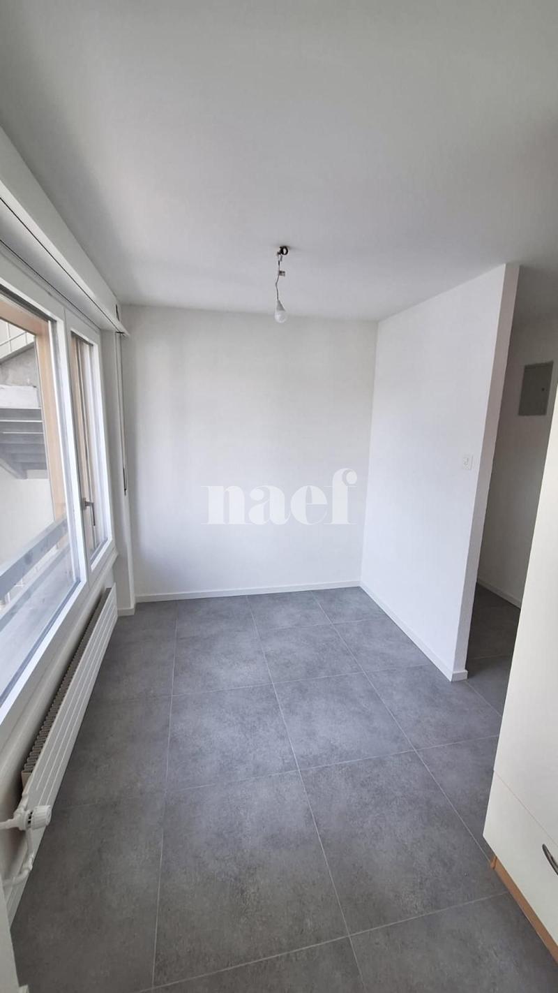RENOVE - Bel appartement lumineux de 3.5 pièces (5)