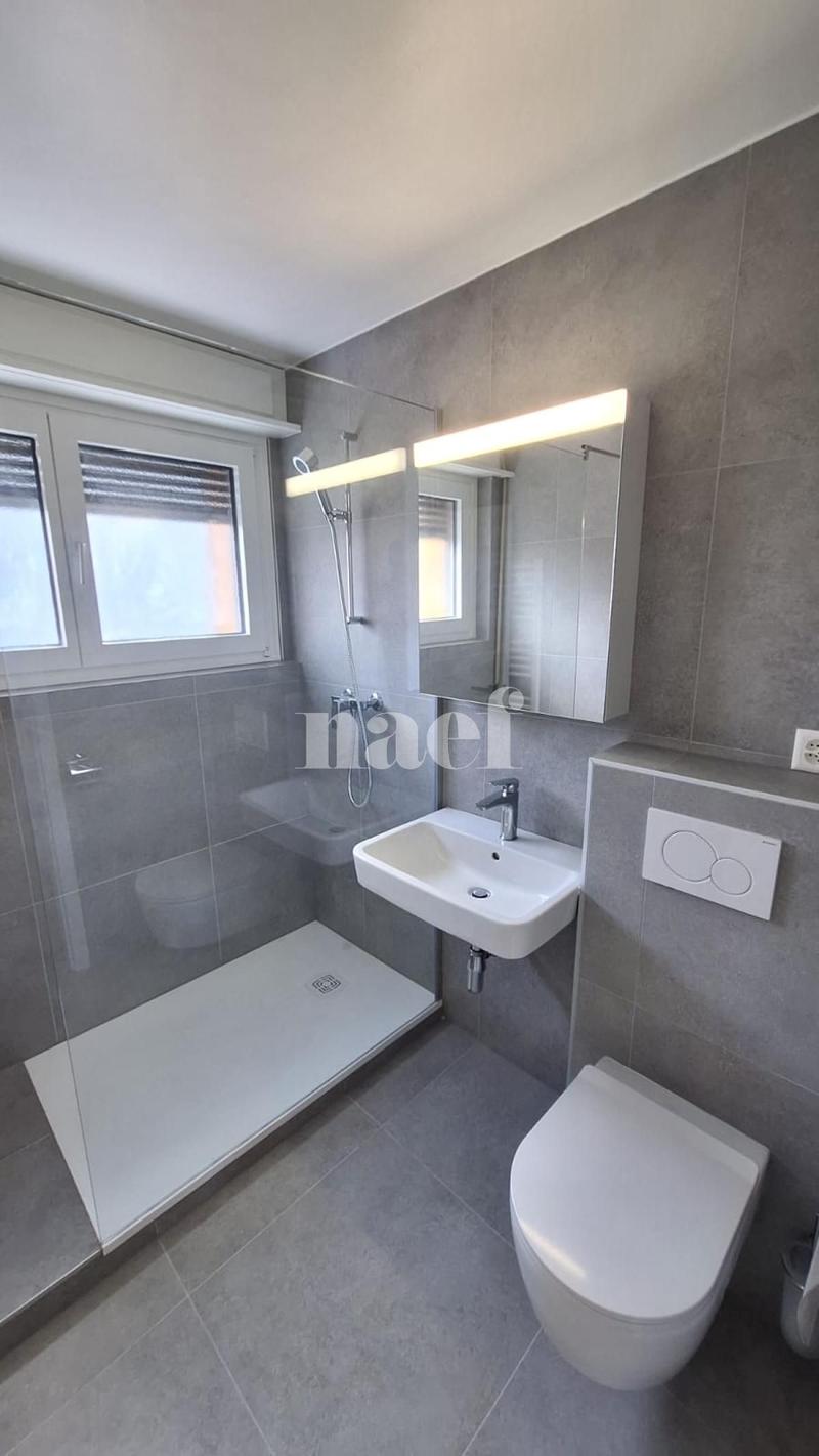 RENOVE - Bel appartement lumineux de 3.5 pièces (6)