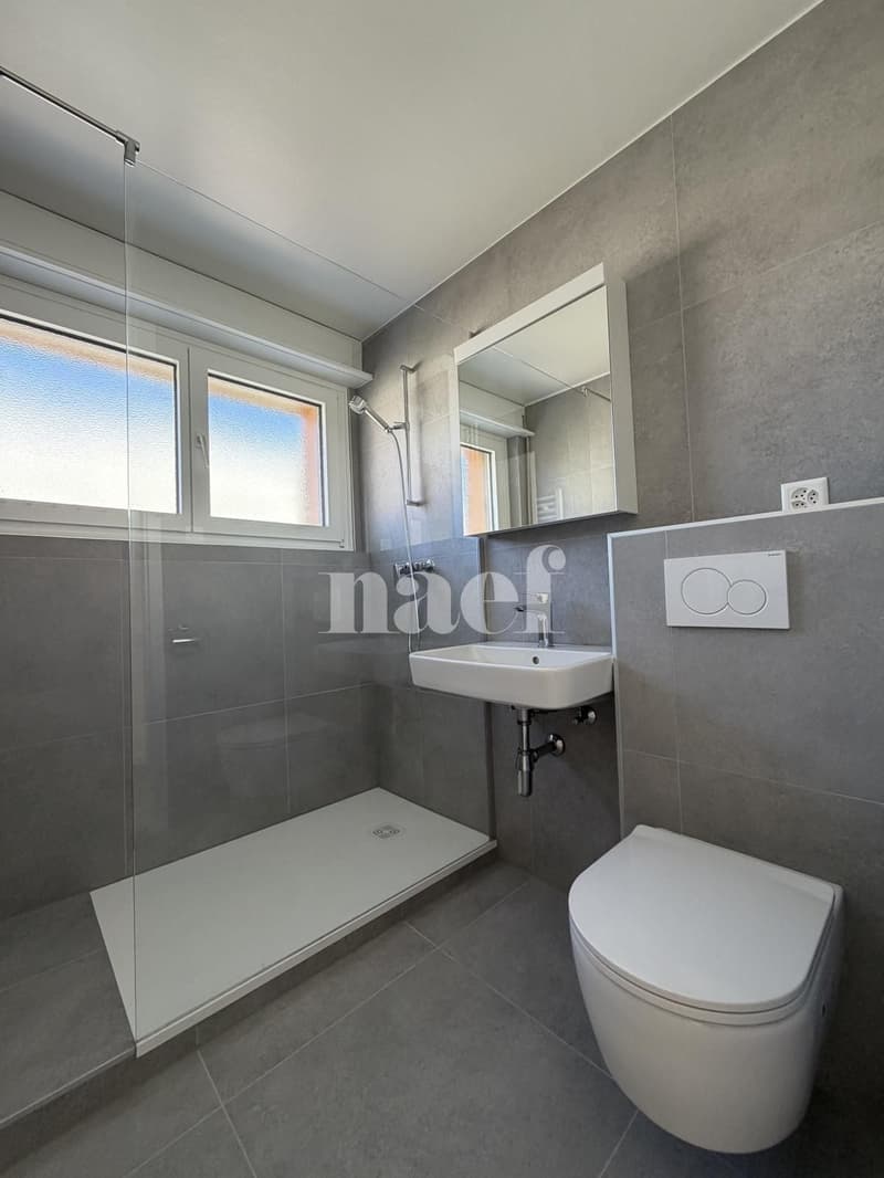 RENOVE - Bel appartement lumineux de 3.5 pièces (5)