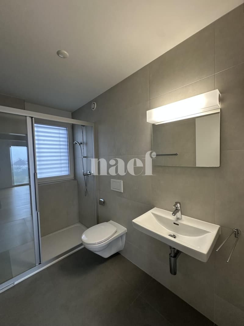 Appartement 4.5 pièces avec balcon (8)