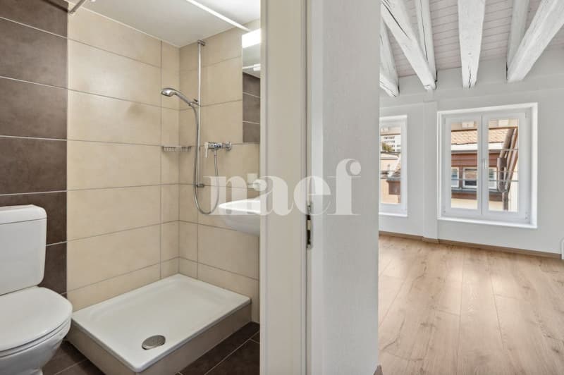 Bel appartement atypique situé au coeur de la Ville. (8)