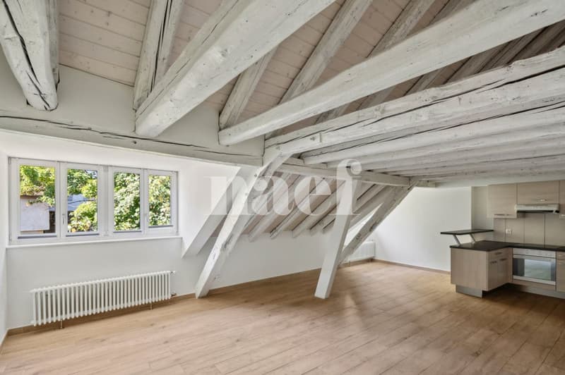 Bel appartement atypique situé au coeur de la Ville. (4)