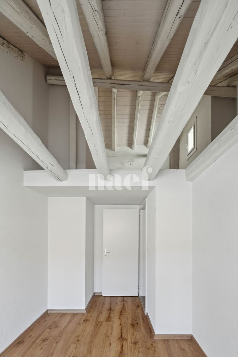 Bel appartement atypique situé au coeur de la Ville. (10)