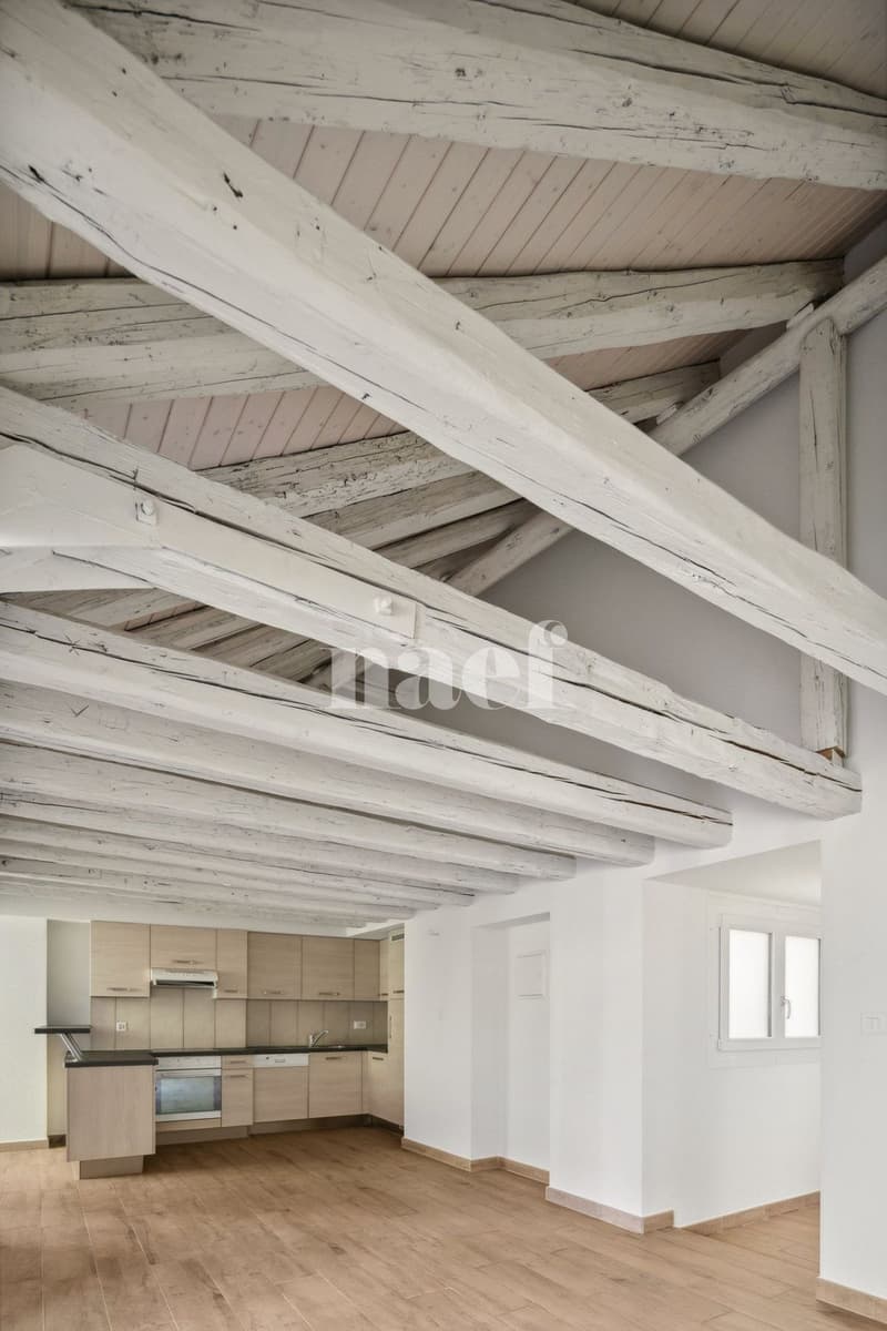 Bel appartement atypique situé au coeur de la Ville. (9)