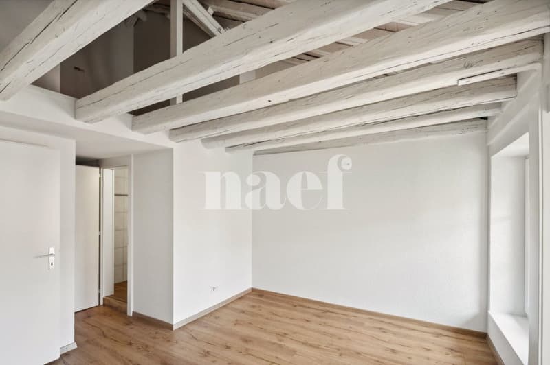 Bel appartement atypique situé au coeur de la Ville. (6)