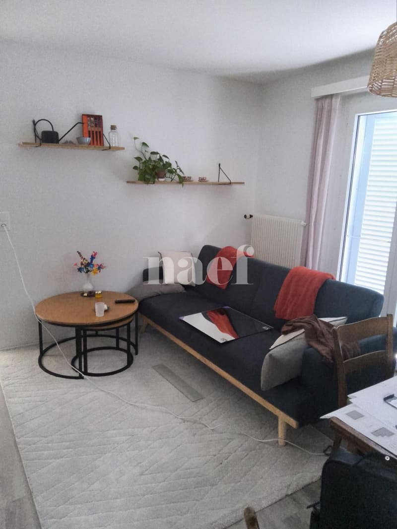 Bel appartement de 2 pièces au Landeron (2)