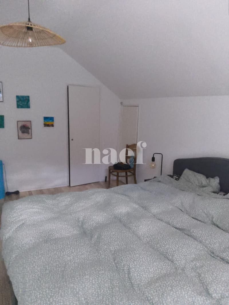Bel appartement de 2 pièces au Landeron (3)
