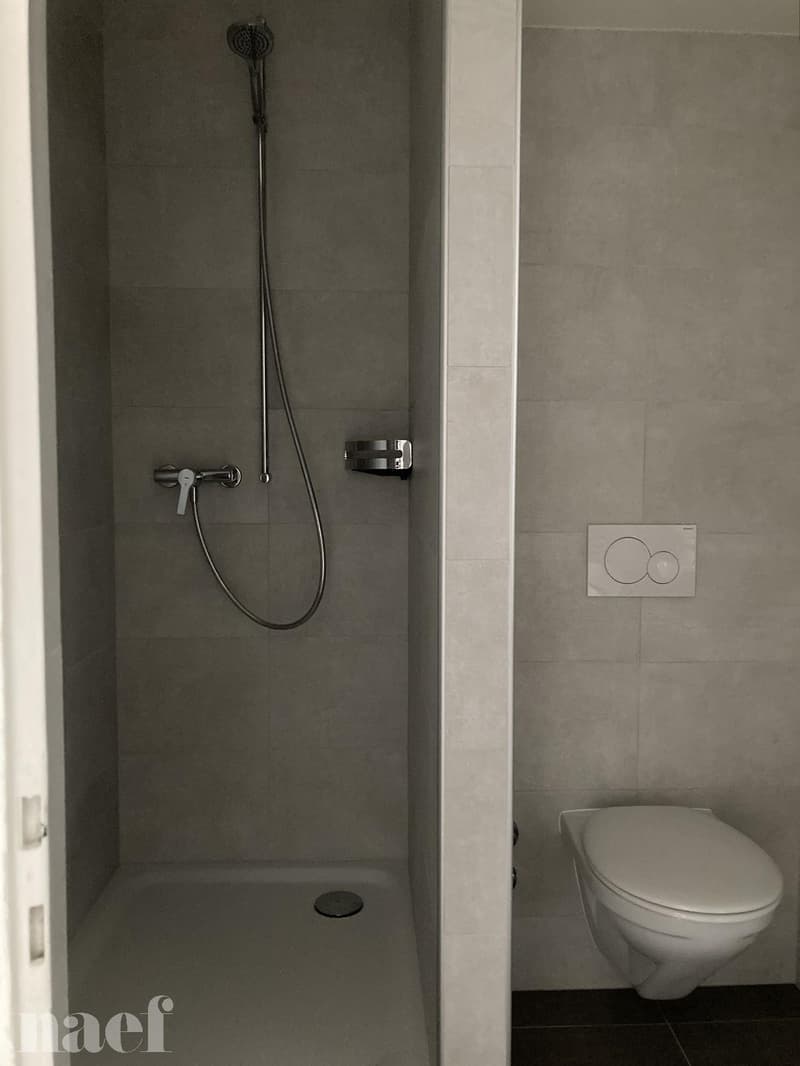Studio entièrement rénové situé dans le haut de la Ville. (5)