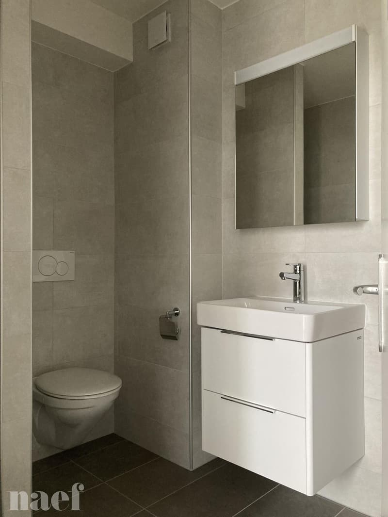 Studio entièrement rénové situé dans le haut de la Ville. (4)