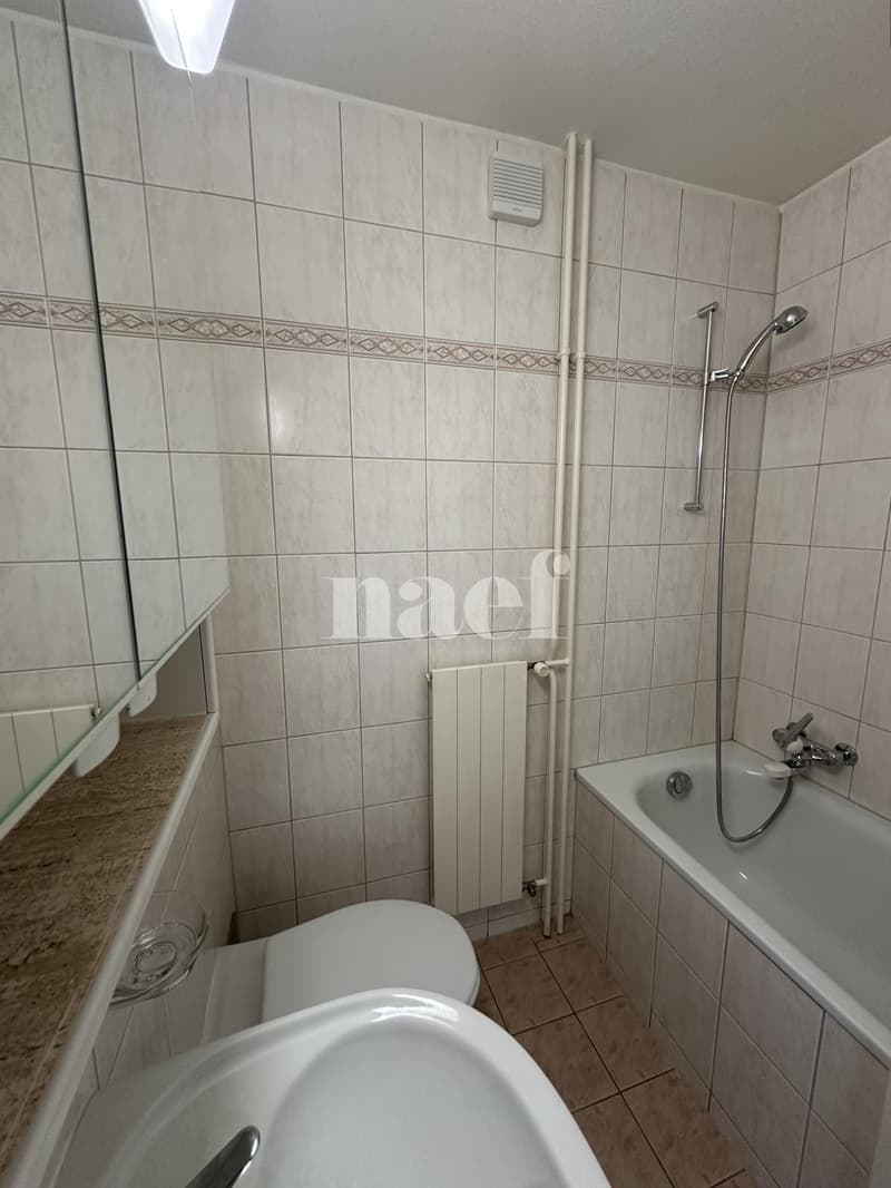 Appartement idéalement situé (7)