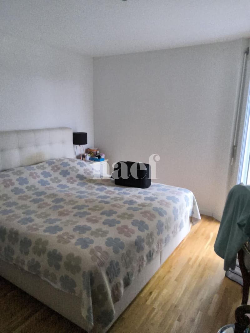 Magnifique appartement de 4.5 pièces avec vue sur le lac (5)