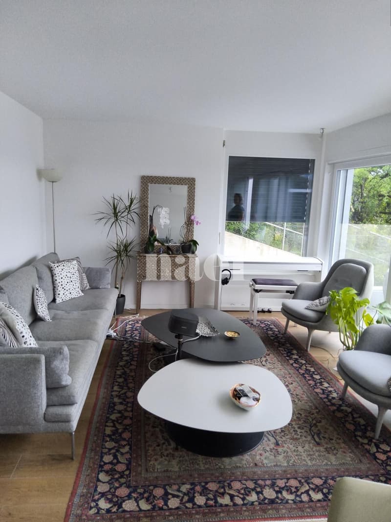 Magnifique appartement de 4.5 pièces avec vue sur le lac (2)