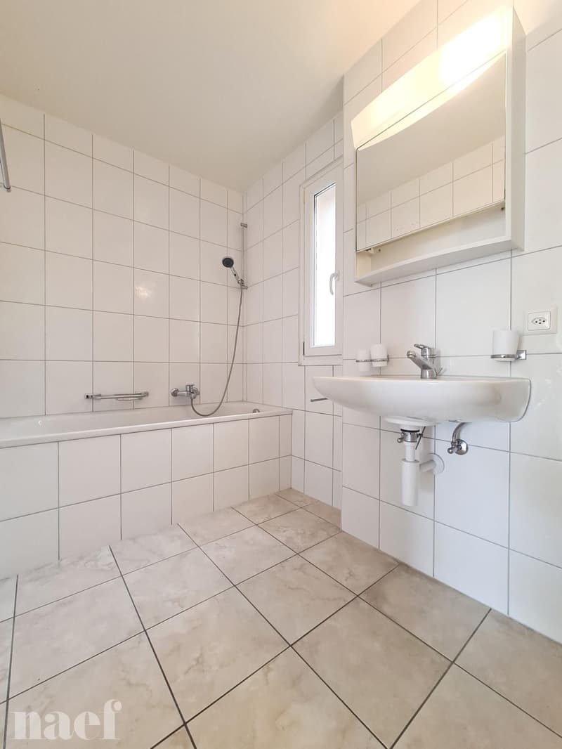 Appartement de 3 pièces avec vue sur le lac (7)