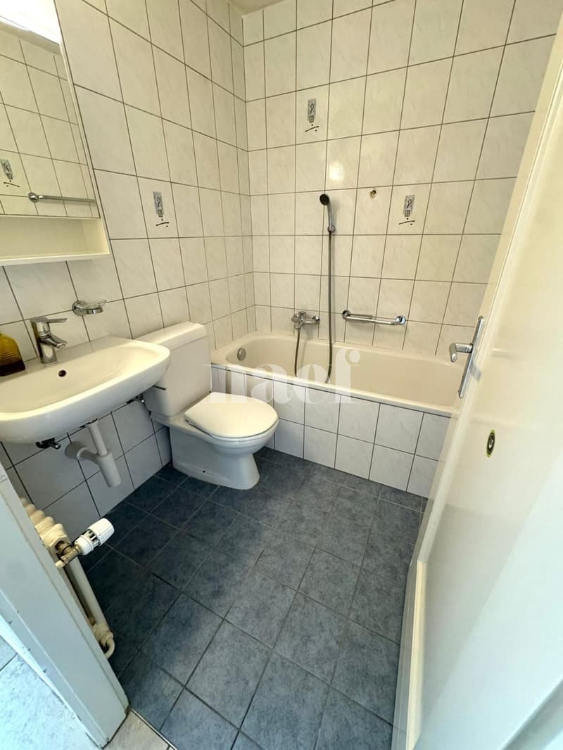 Appartement de 2.5 pièces au 4ème étage (5)