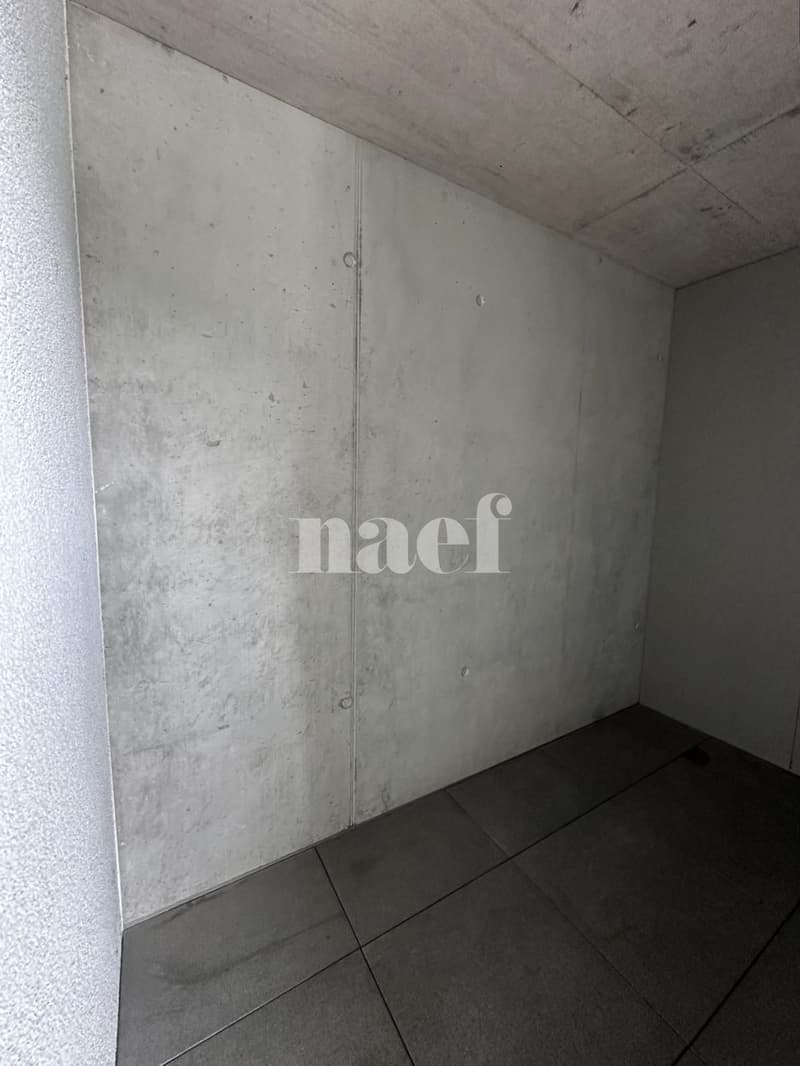 Appartement de 5.5 pièces (8)