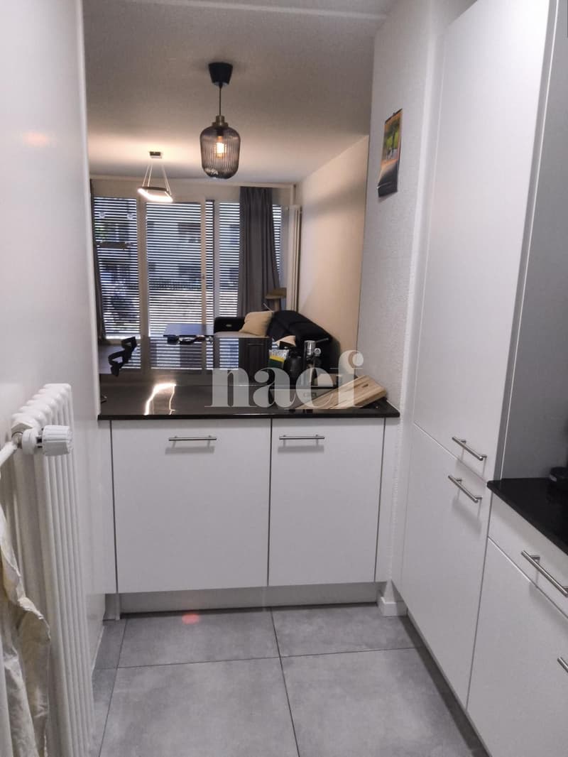 Appartement de 3 pièces au rez-de-chaussée (4)