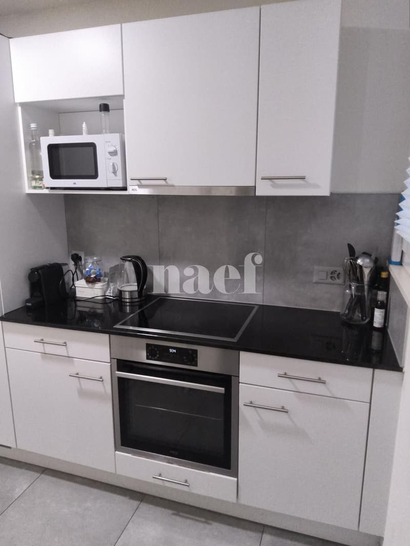 Appartement de 3 pièces au rez-de-chaussée (3)
