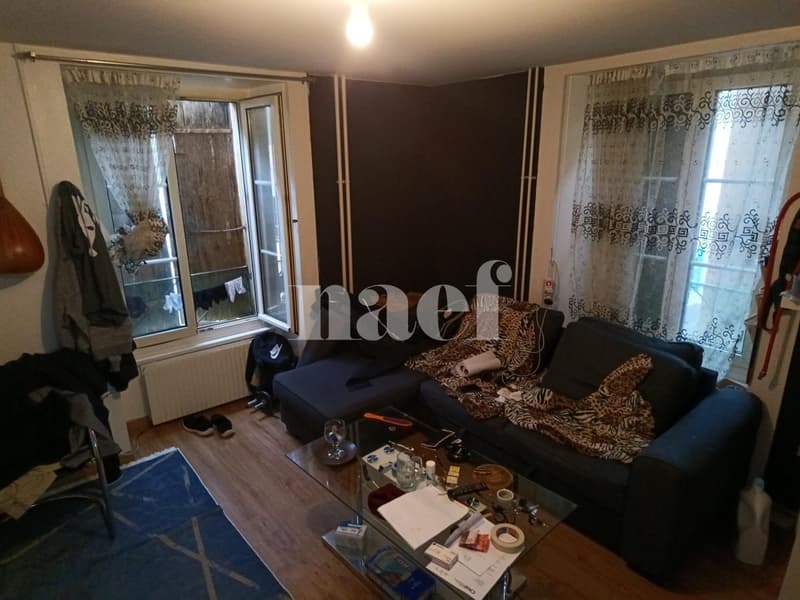Appartement situé au centre ville, dans la zone piétonne. (4)