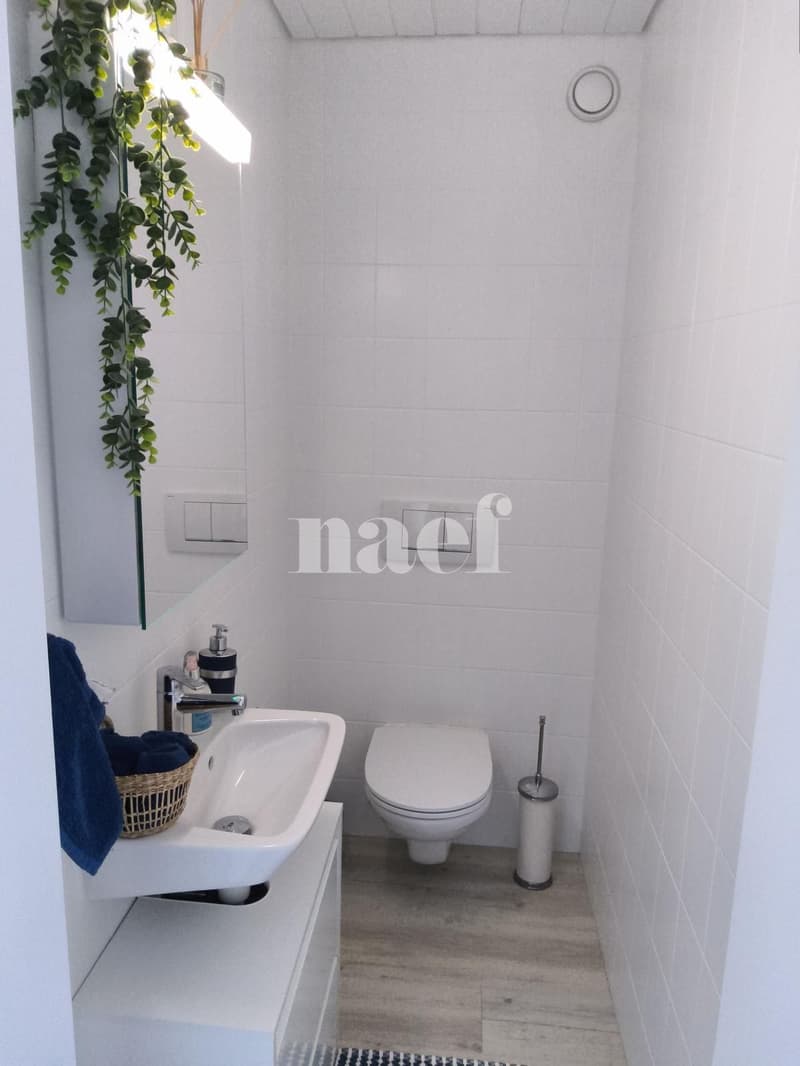 Bel appartement de 3 pièces au quatrième étage (8)