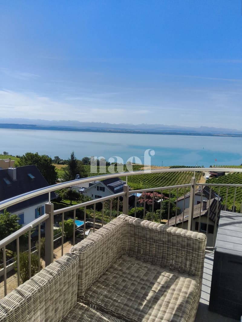 Bel appartement de 3 pièces au quatrième étage (10)