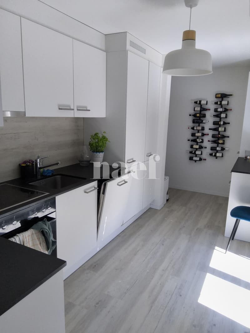 Bel appartement de 3 pièces au quatrième étage (3)