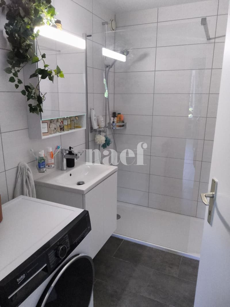 Bel appartement de 3 pièces au quatrième étage (7)