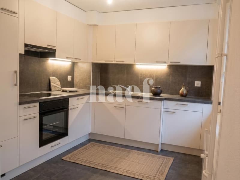 Bel appartement moderne situé à quelques minutes de la gare CFF. (5)