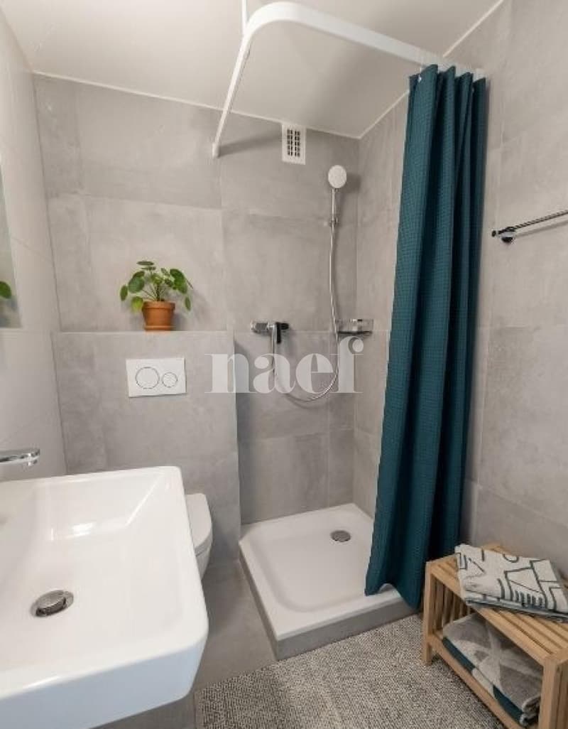 Studio rénové idéalement situé (3)