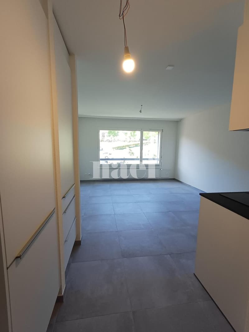 Studio rénové idéalement situé (4)