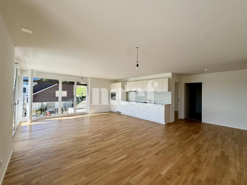Magnifique appartement neuf avec vue dégagé à Gambelen (3)