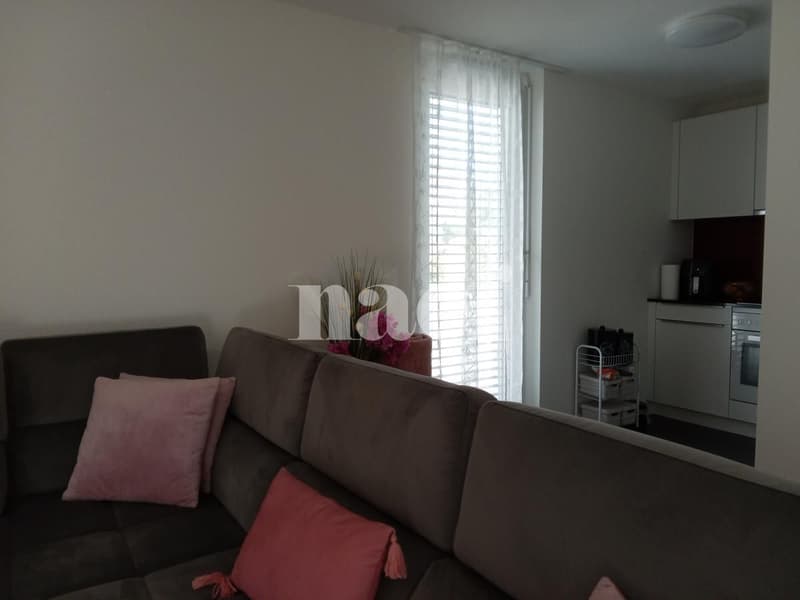 Très bel appartement récent idéalement situé. (4)