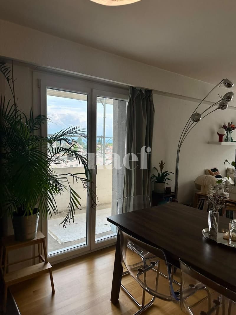 Bel appartement avec terrasse (3)
