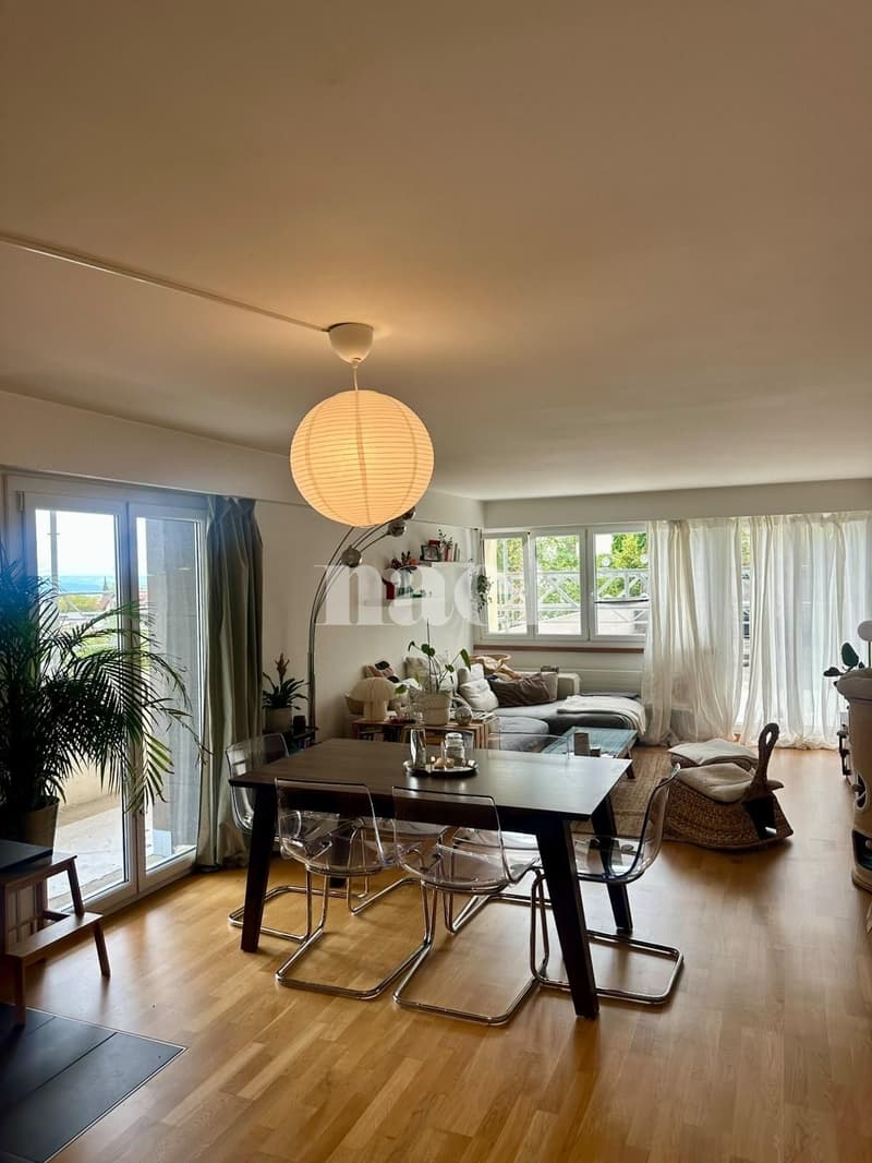 Bel appartement avec terrasse (2)