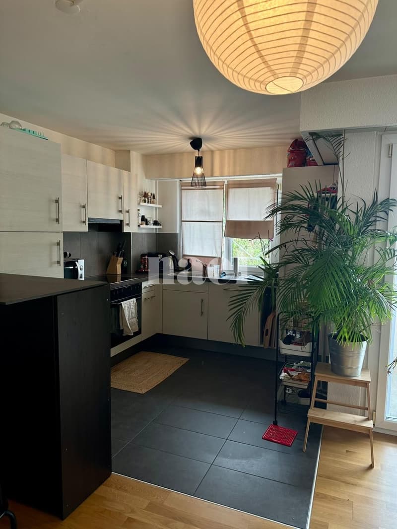 Bel appartement avec terrasse (4)